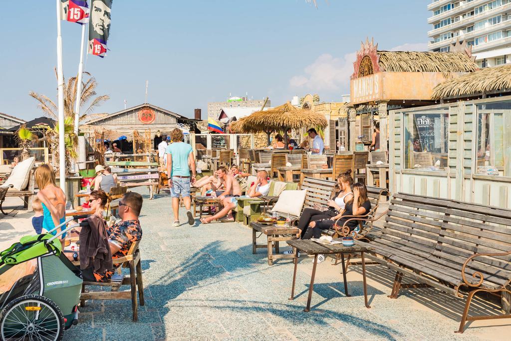 Cute Beach House Zandvoort Bagian luar foto